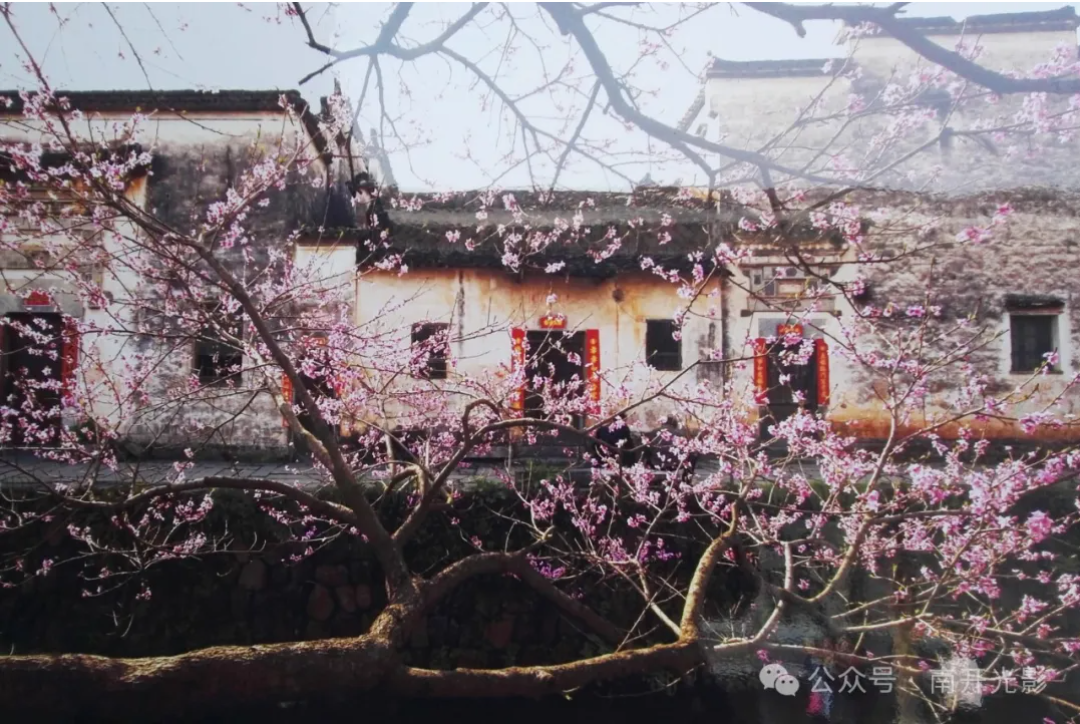屏幕截图 2024-12-20 175044.png